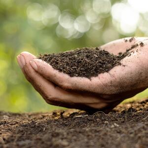 L'arrosage du compost, blog MAISON et SERVICES