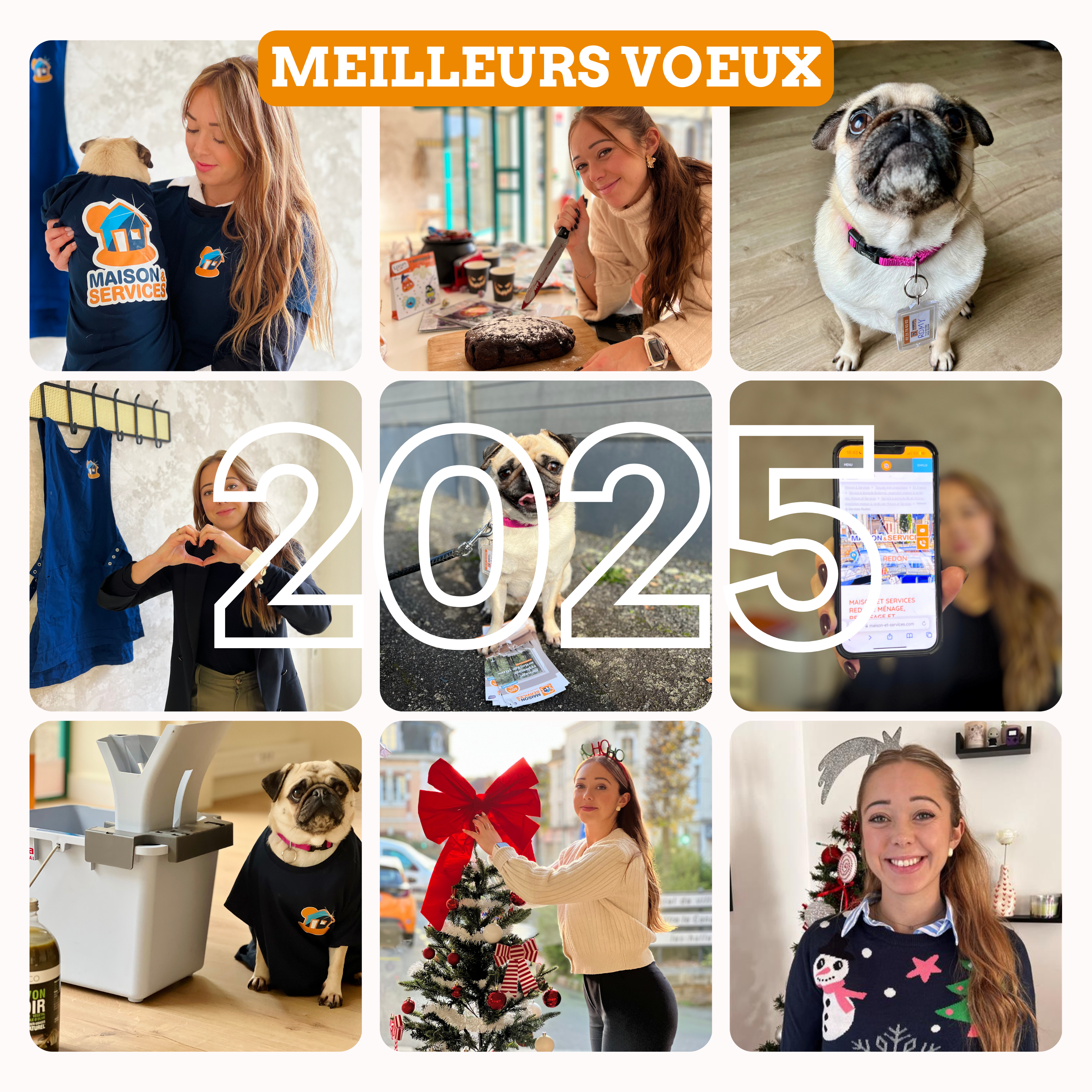 Meilleurs Voeux 2025