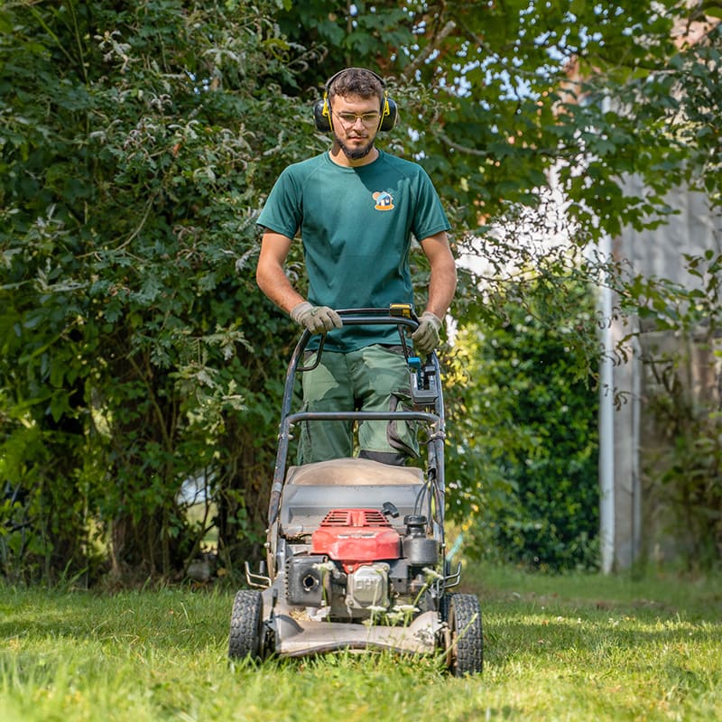 entretien du jardin maison et services