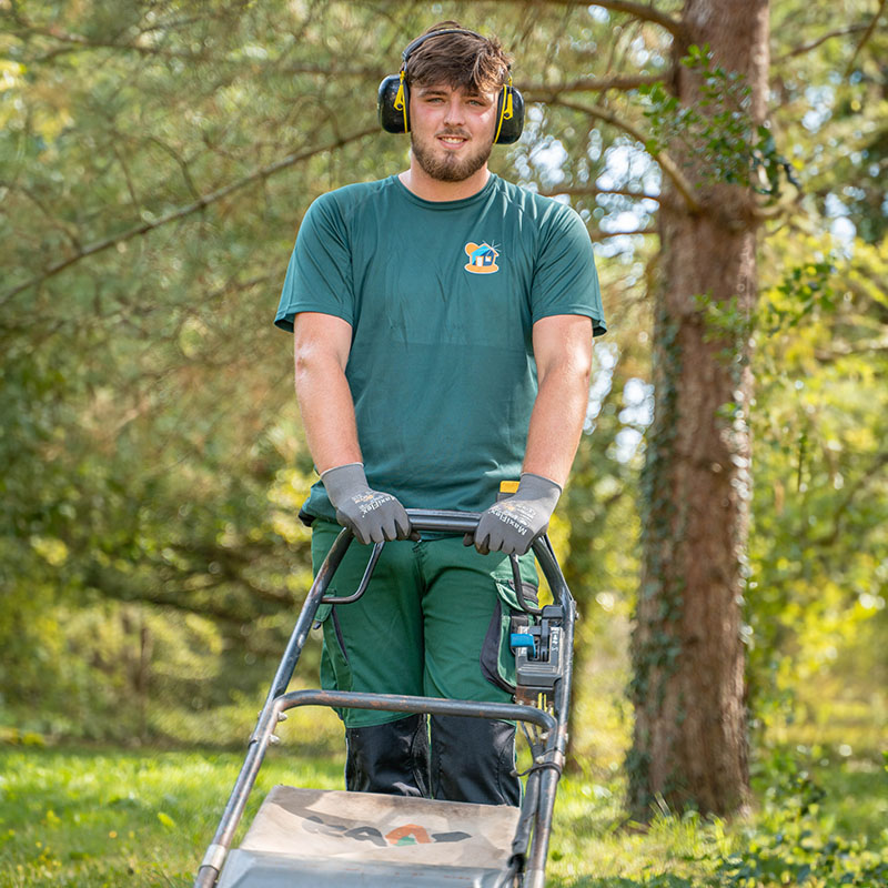 tonte pelouse maison et services