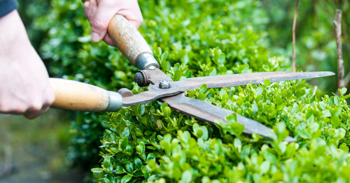 Jardinier à domicile - Entretien des espaces verts - Maison et Services