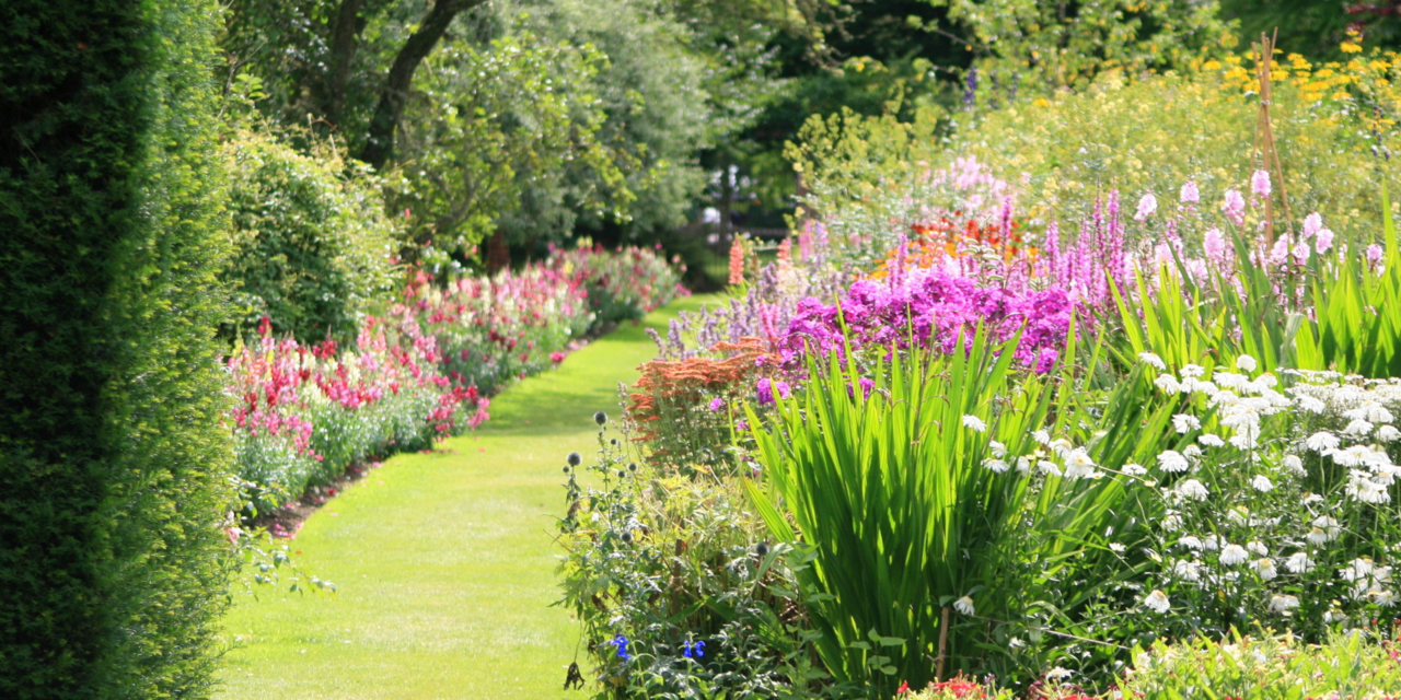 ENTRETIEN DU JARDIN BALMA