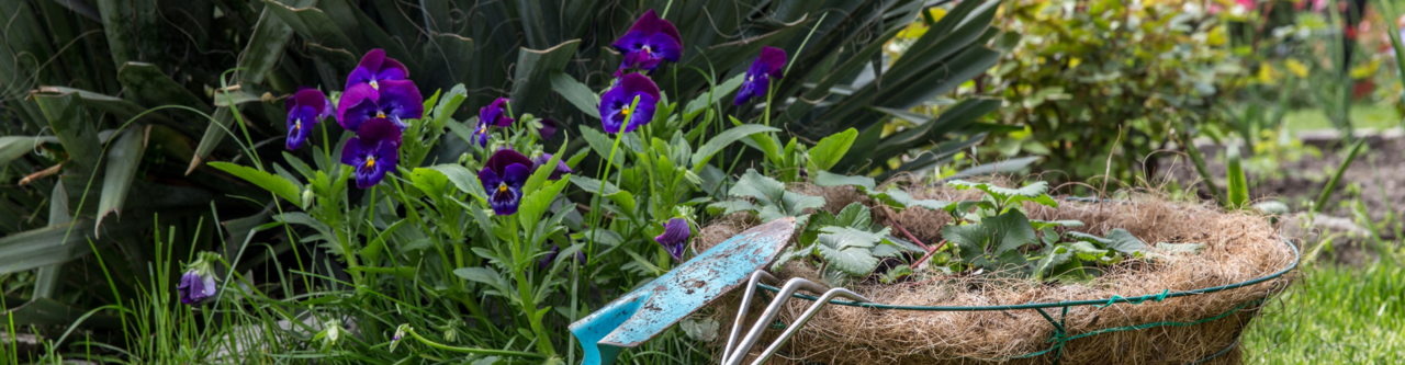 entretien jardin pont aven