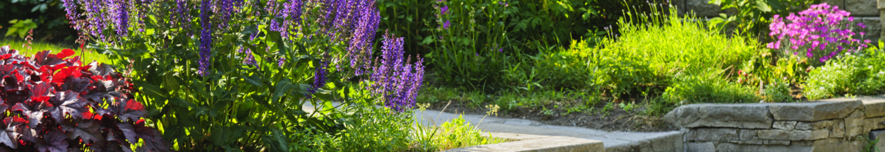 ENTRETIEN JARDIN MELGVEN