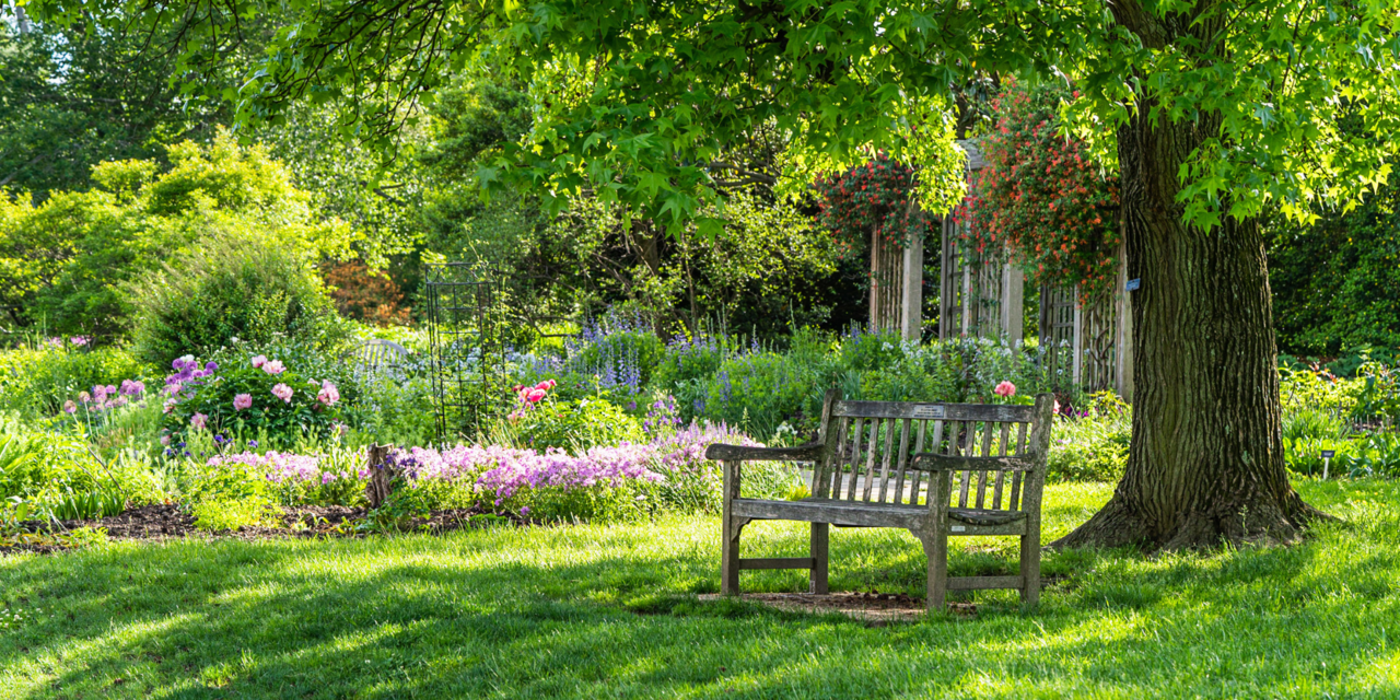 Espaces verts à Jons