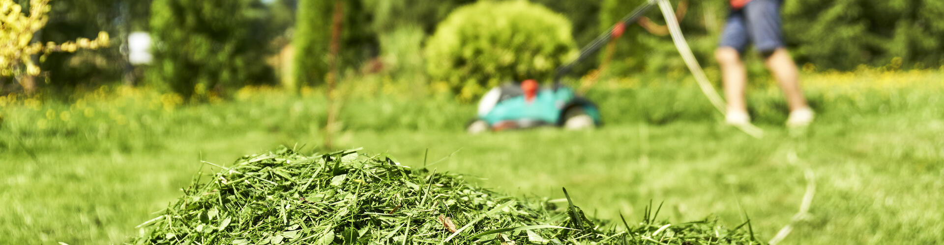 L’herbe tondue : une ressource pour votre jardin avec Maison et Services