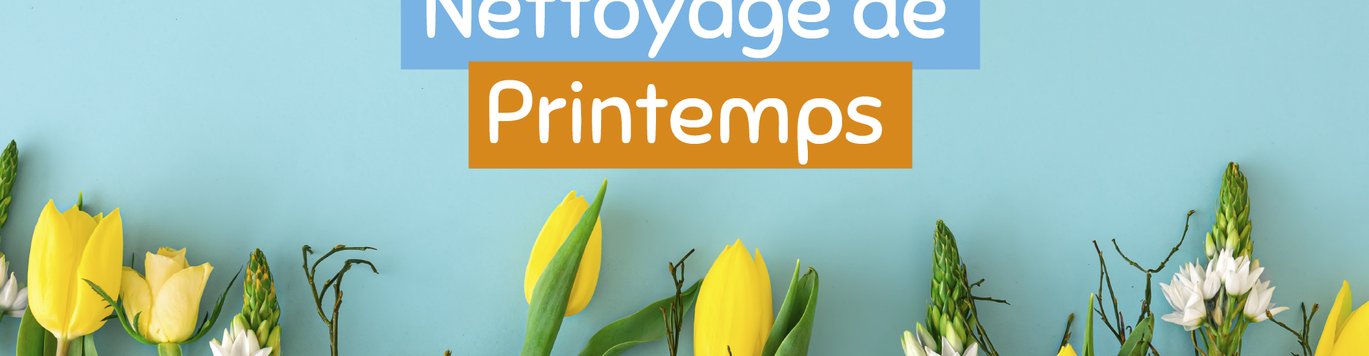 img_fleurs_printemps_nettoyage_printemps