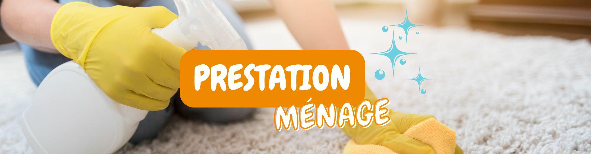maison-services-saint-nazaire-ménage-repassage-lavage-vitres-jardinage-déménagement