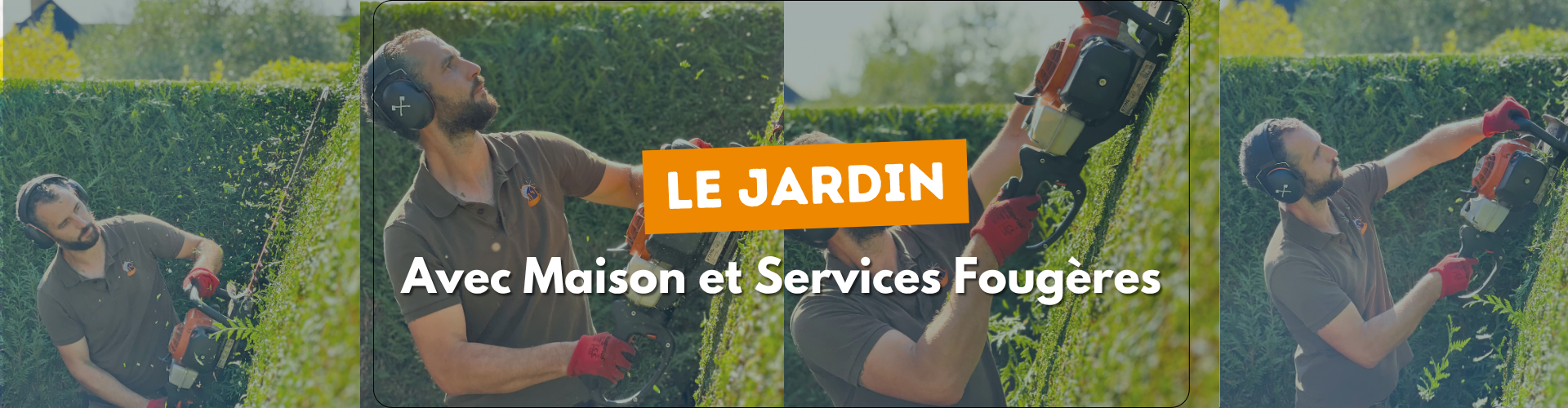 jardin fougeres