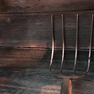 Entretien des outils à manche avec Maison et Services