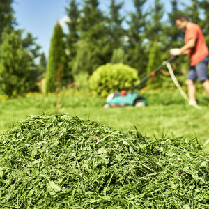 L’herbe tondue : une ressource pour votre jardin avec Maison et Services