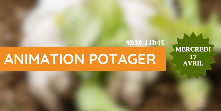 visuel-animation-potager
