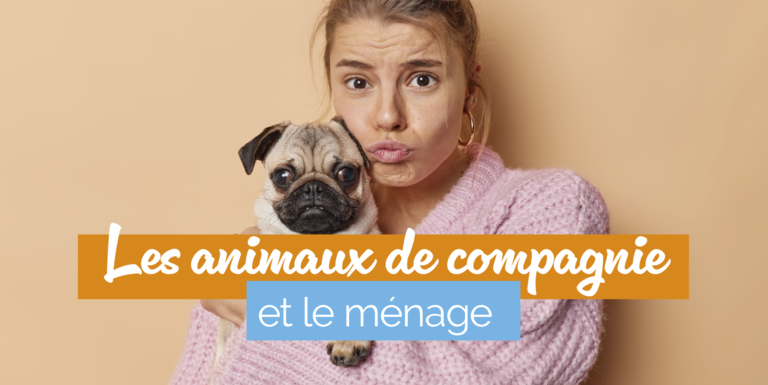 img-femme-et-chien-de-compagnie