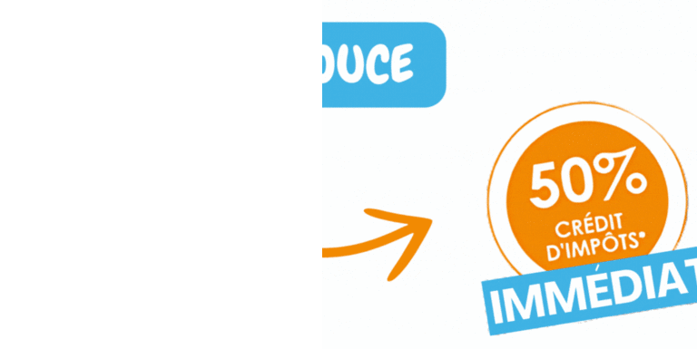 maison-services-Pornic-ménage-repassage-lavage-vitres-credits-impots