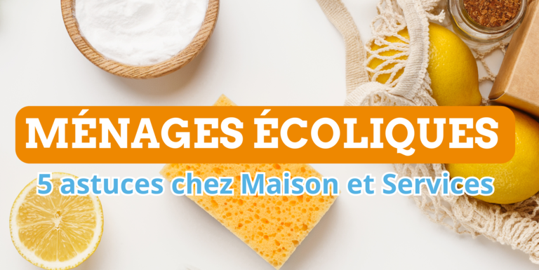 Ménages écologique Bain de Bretagne