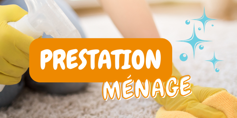 maison-services-Vannes-ménage-repassage-lavage-vitres-jardinage