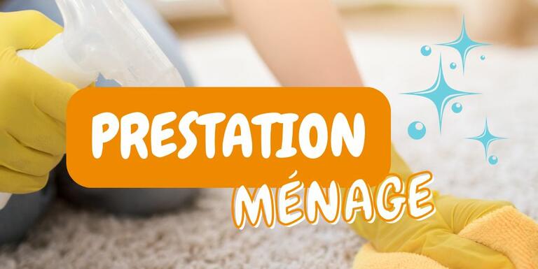 maison-services-AURAY-ménage-repassage-lavage-vitres-jardinage-déménagement