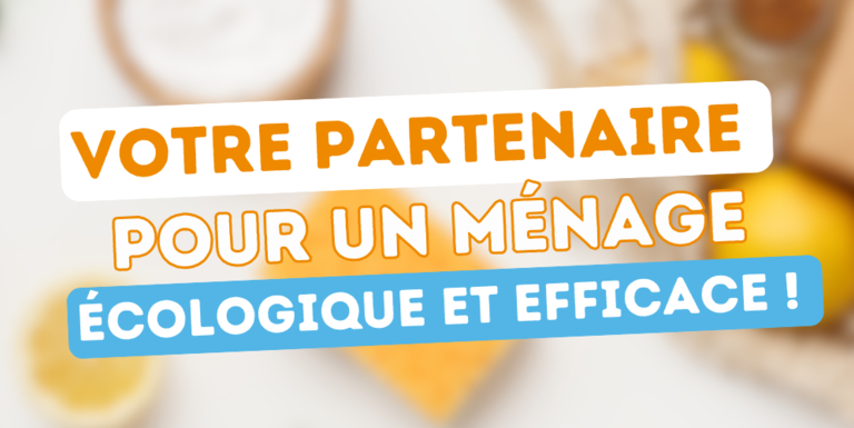 maison-services-Saumur-ménage-repassage-lavage-vitres-credits-impots