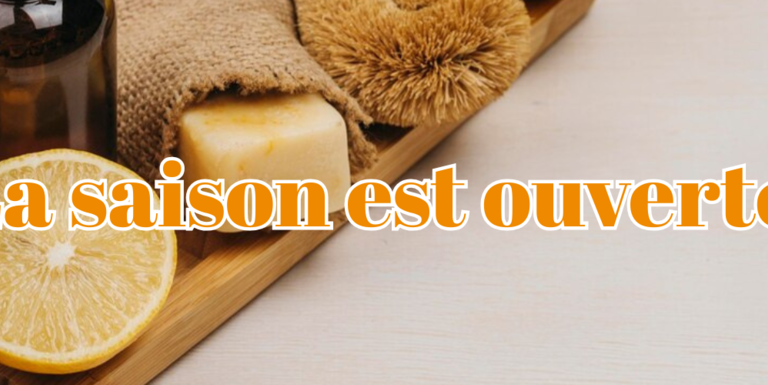 déclaration des revenus 