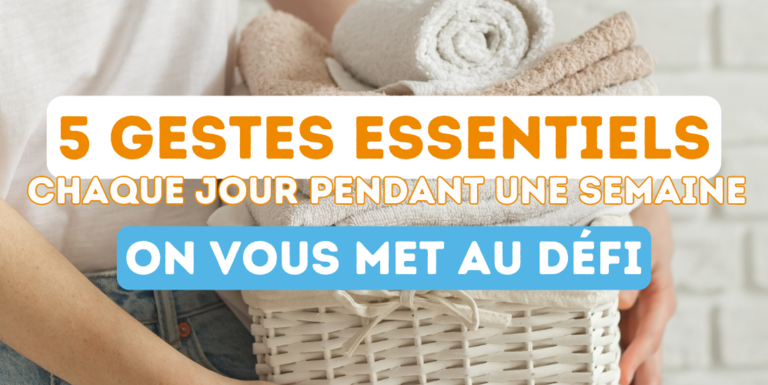 maison-services-pornic-ménage-repassage-lavage-vitres-credits-impots