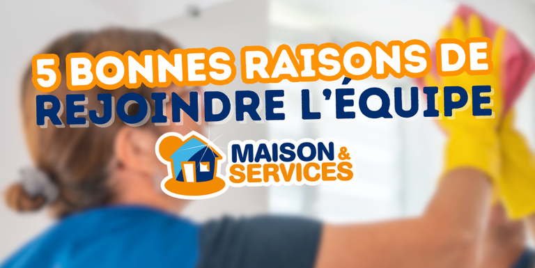 Maison-Services-Vannes-Auray-Ménage-Repassage-Nettoyage-Aide-domicile