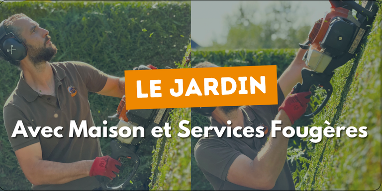 jardin fougeres